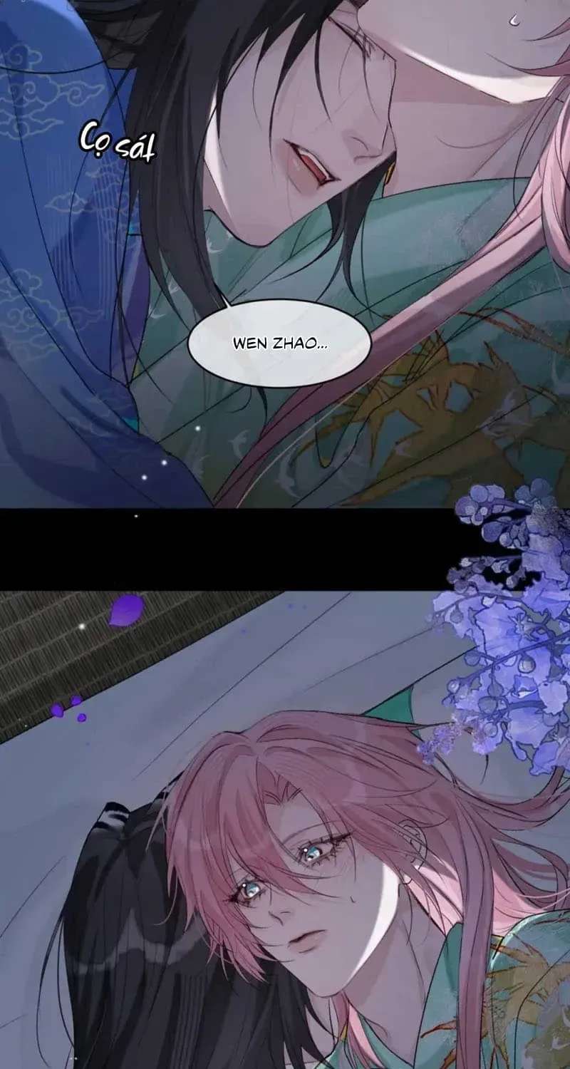 The Fragile Sparrow in the Palm Chapter 13 - page 17