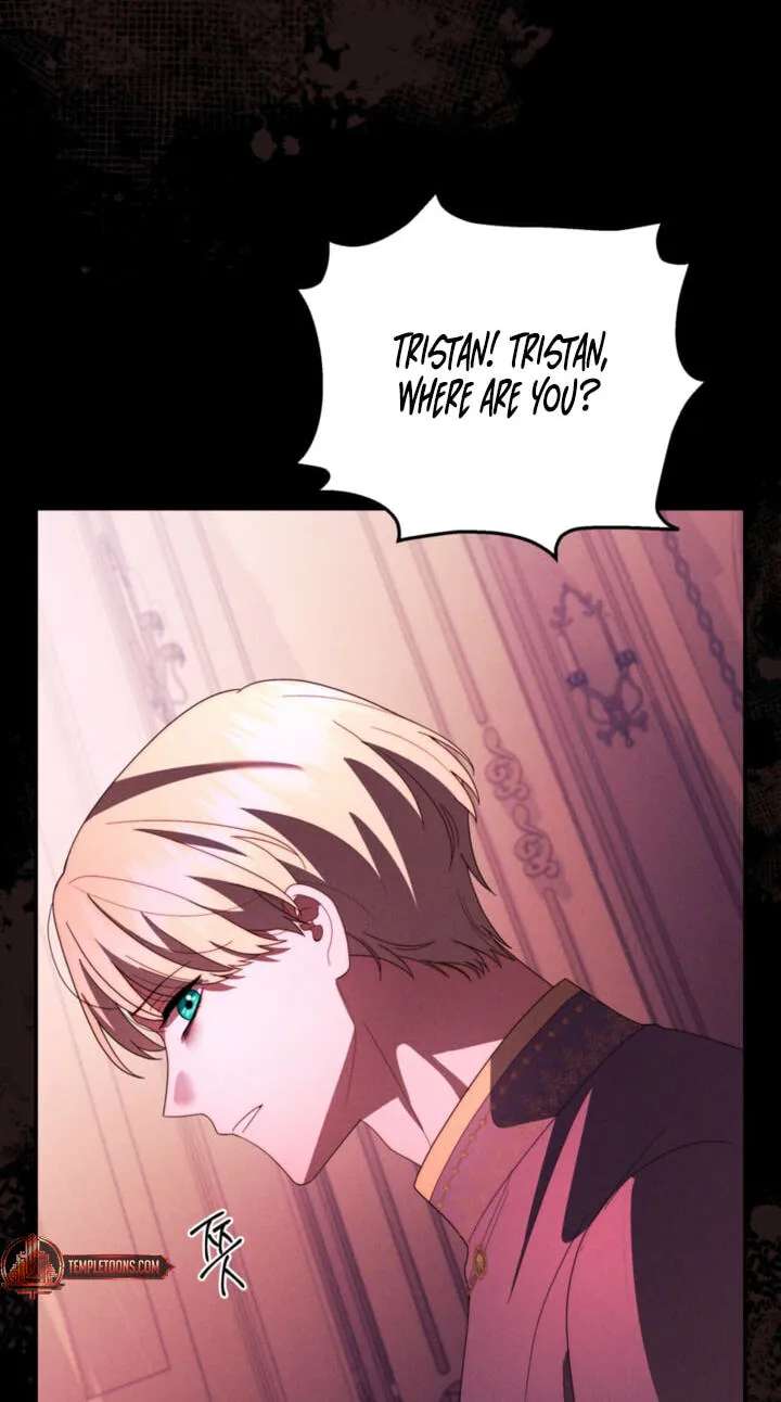 Five Husbands Appeared on My Birthday Chapter 33 - page 17