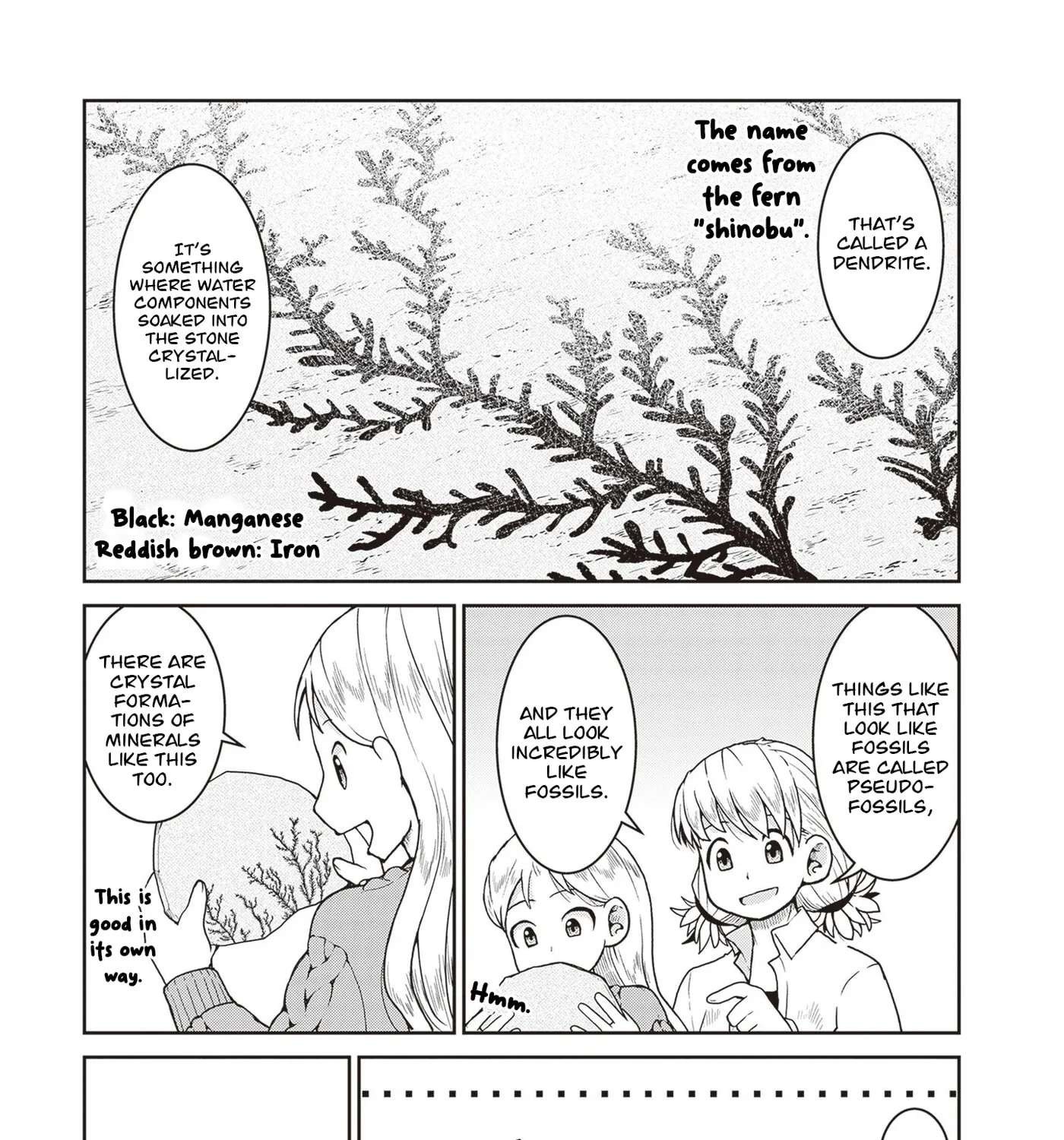 Introduction to Mineralogy Chapter 30 - page 47