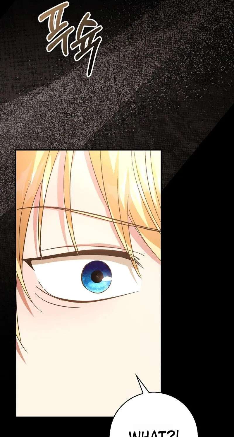 I Will Raise the Villain Properly Chapter 41 - page 74