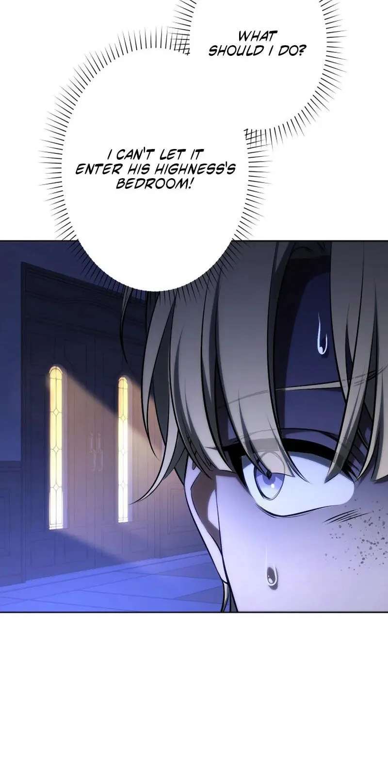 I Was Reincarnated as the Villainess' Sister Chapter 32 - page 8