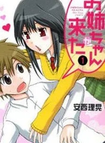 Onee-chan ga Kita