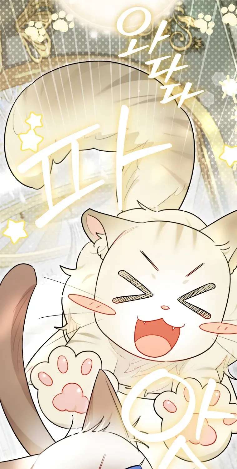 Even Though I Transmigrated As A Villainess, I’d Rather Raise A Cat Chapter 93 - page 24