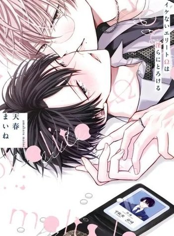 Ikenai Elite Omega ha Midara ni Torokeru