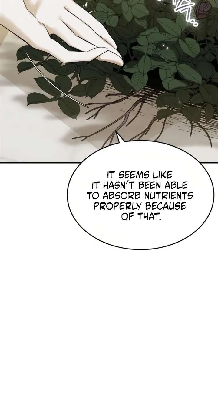 I Became a Hatchling Chapter 23 - page 8