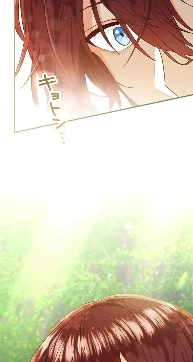 I Was Captured by the Yandere Duke Who Was My Husband in My Previous Life Chapter 33 - page 14