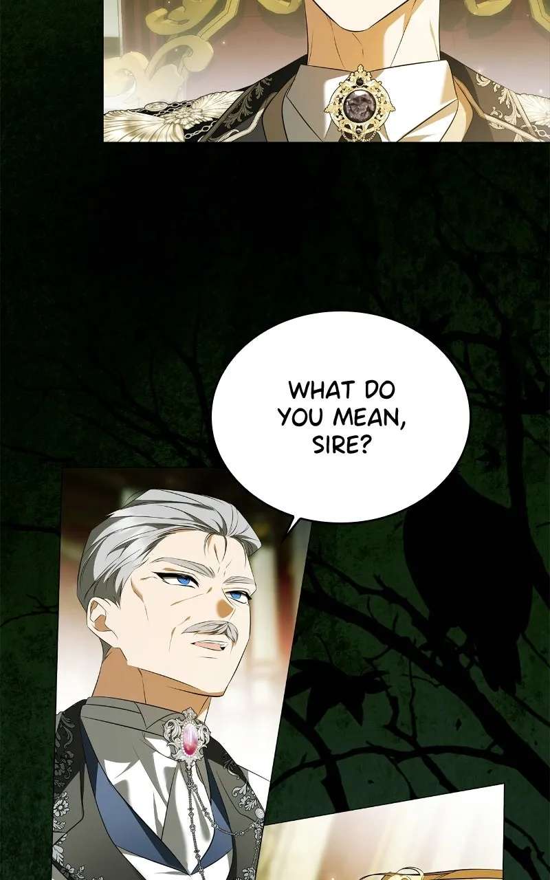 His Majesty is Vexedby His Handmaiden Chapter 16 - page 28