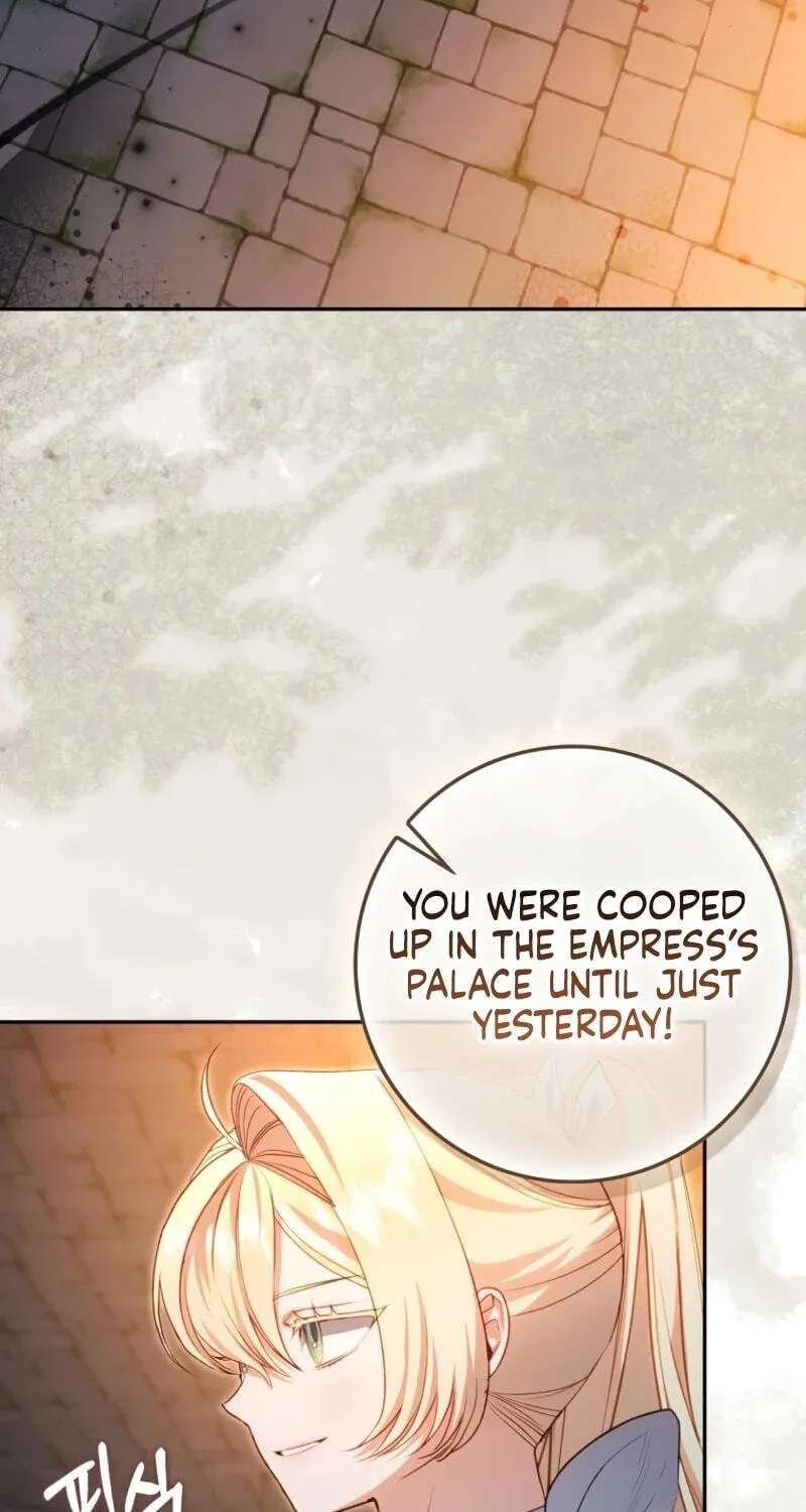 Sister-in-law of the Heroine in a Childcare Novel Chapter 29 - page 3