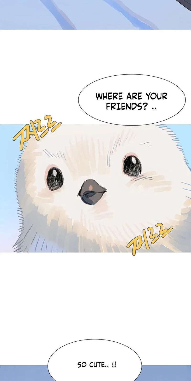Youth Observation Chapter 1 - page 9