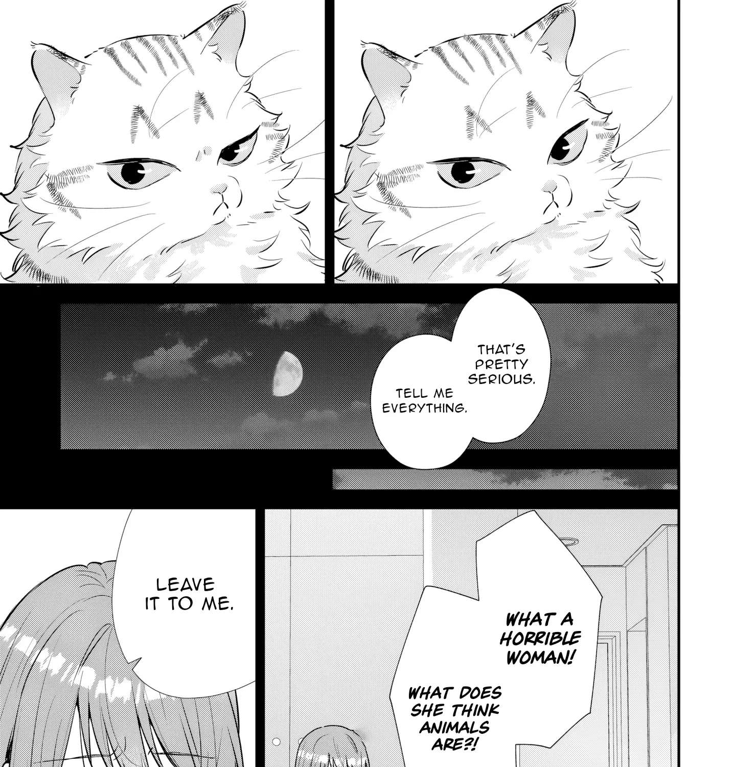 Is the Cat I Picked Up Really a Cat? Chapter 5.2 - page 4