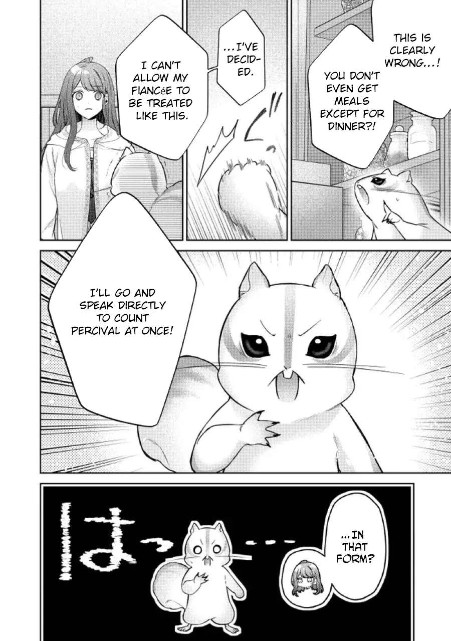My Fiancé, Who Used to Hate Me, Turned into a Squirrel and Came to Me for Help. Chapter 2 - page 12