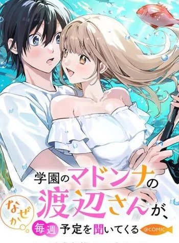 Gakuen no Madonna no Watanabe san ga, Naze ka Maishu Yotei wo Kitekuru