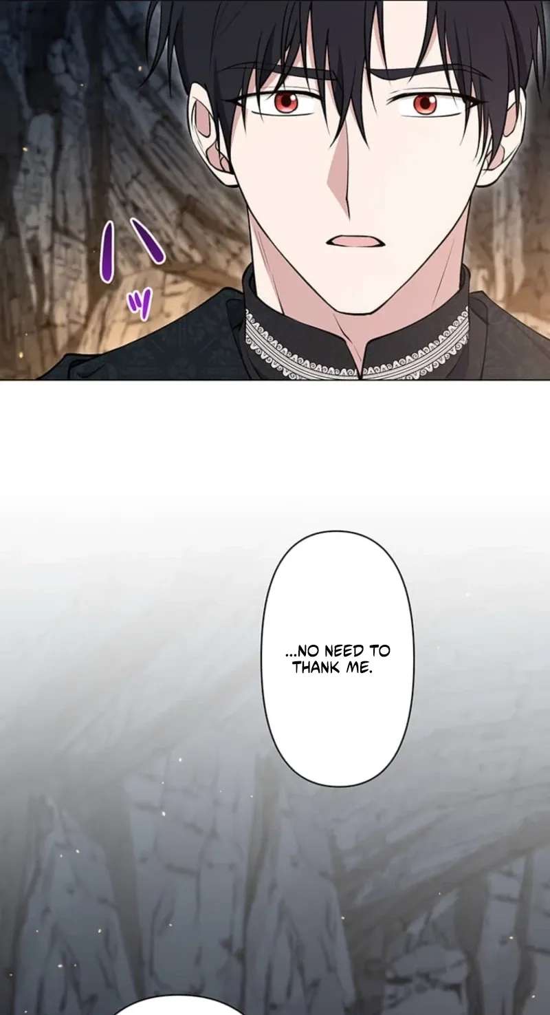 The Enemy King's Substitute Bride Chapter 47 - page 41