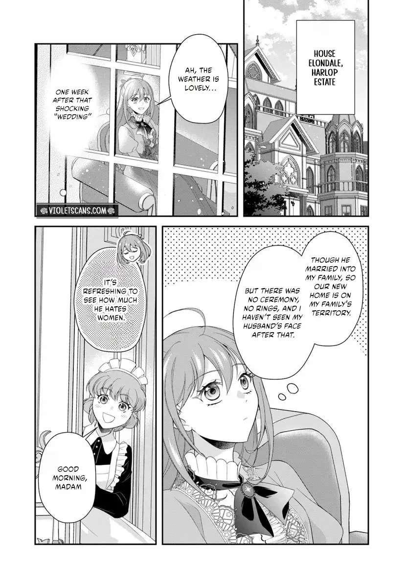 Watashitachi Rikon Shimasunode Ikenie Reijou to Reikoku Hunjin no Kanpekinaru Rikon Keikaku Chapter 1 - page 27