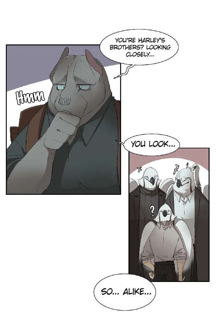 Miss Kitty and Her Bodyguards Chapter 295.5 - page 14