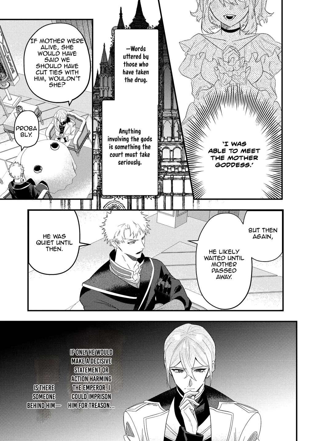 Seijin Koushaku-sama ga Last Boss dato iu Koto wo Watashi dake ga Shitteiru Chapter 4 - page 17