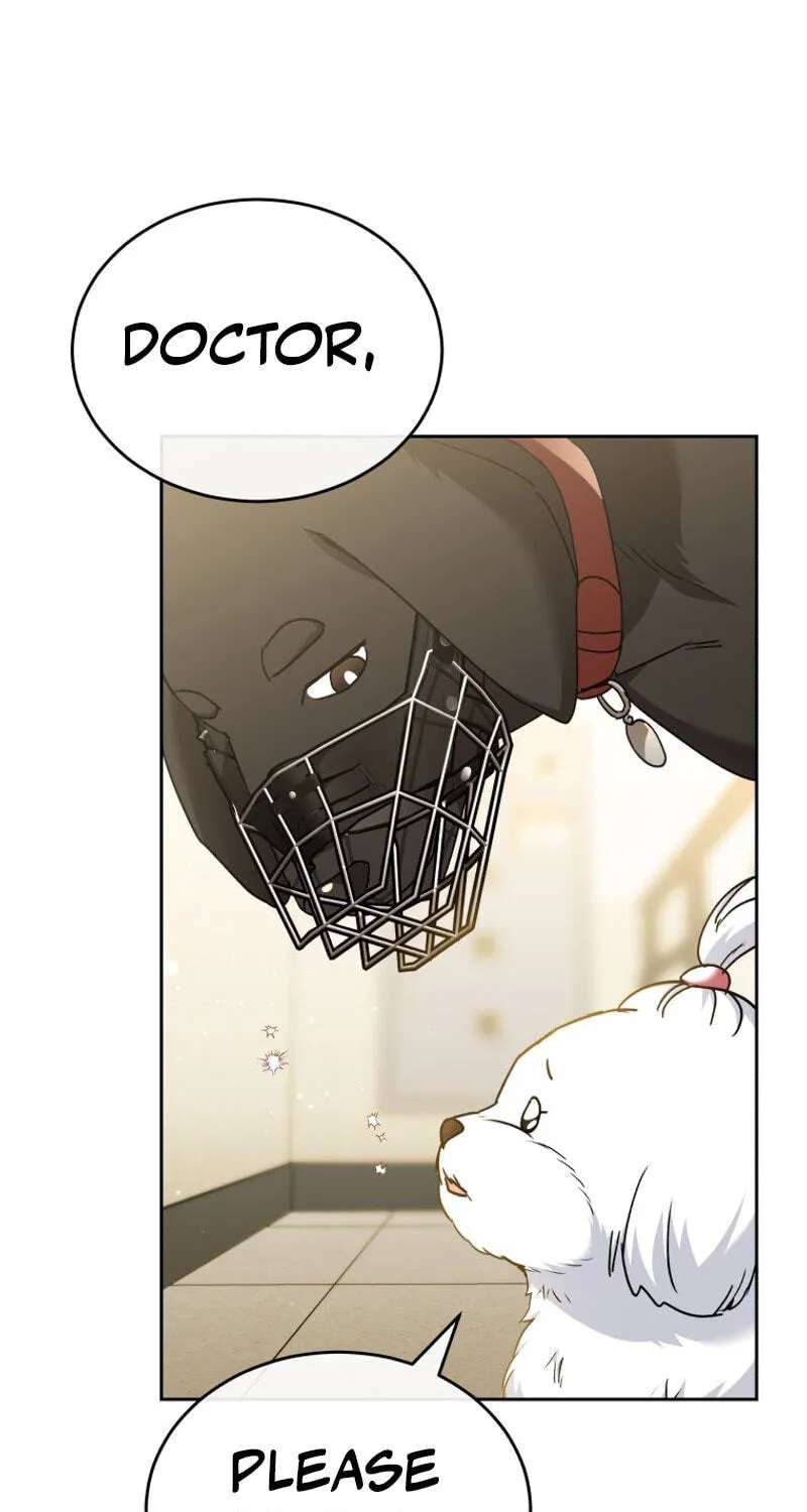 Hello, Mr. Veterinarian! Chapter 145 - page 13