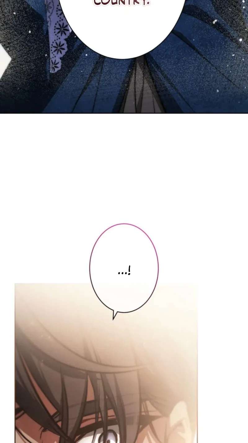 I Was Reincarnated as the Villainess’s Sister Chapter 31 - page 43