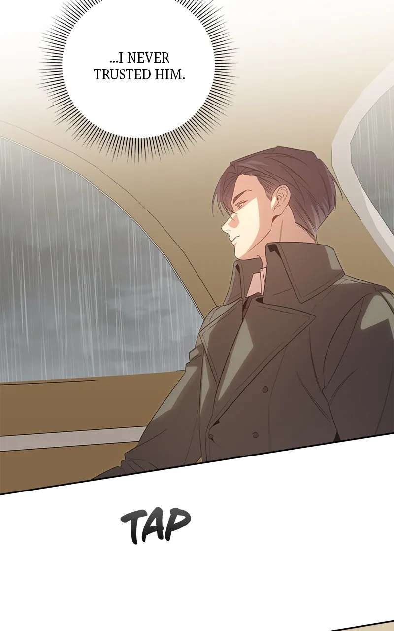 Where the Golden Rose was Plucked Chapter 45 - page 41