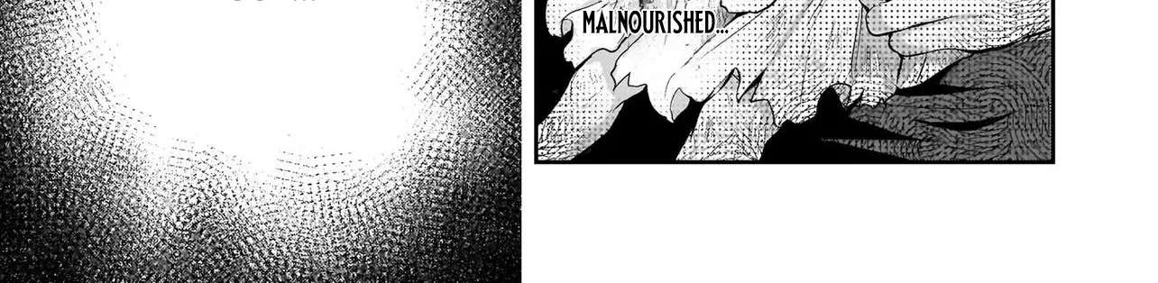 The Abandoned Saint's Happy Feeding Life: In My Second Life, I Was Taken In by a Beginner Parent in the Gourmet Nation Chapter 2 - page 41
