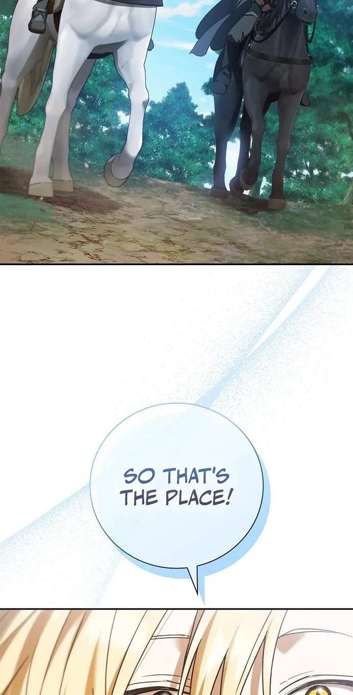 A Mercenary's Rebirth Among Nobles Chapter 46 - page 81