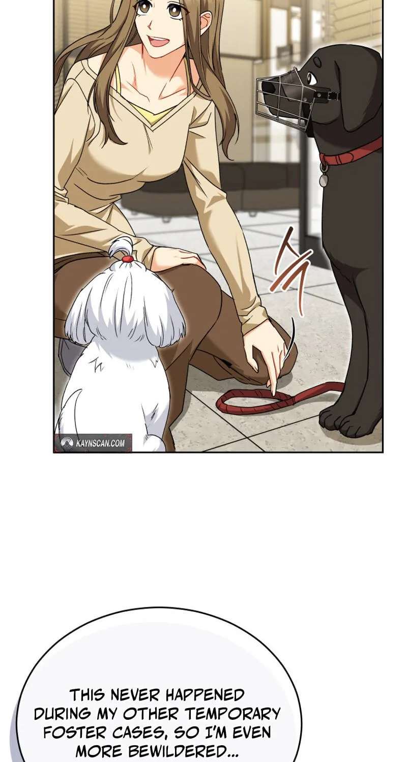 Hello, Mr. Veterinarian! Chapter 145 - page 46