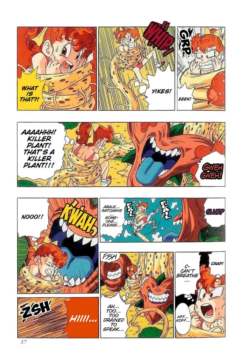 Chotto Dake Kaettekita Dr. Slump Chapter 22 - page 13