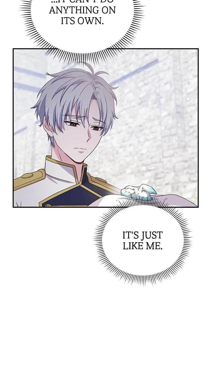 His Recovery MagicWorked Too Well! Chapter 31 - page 13