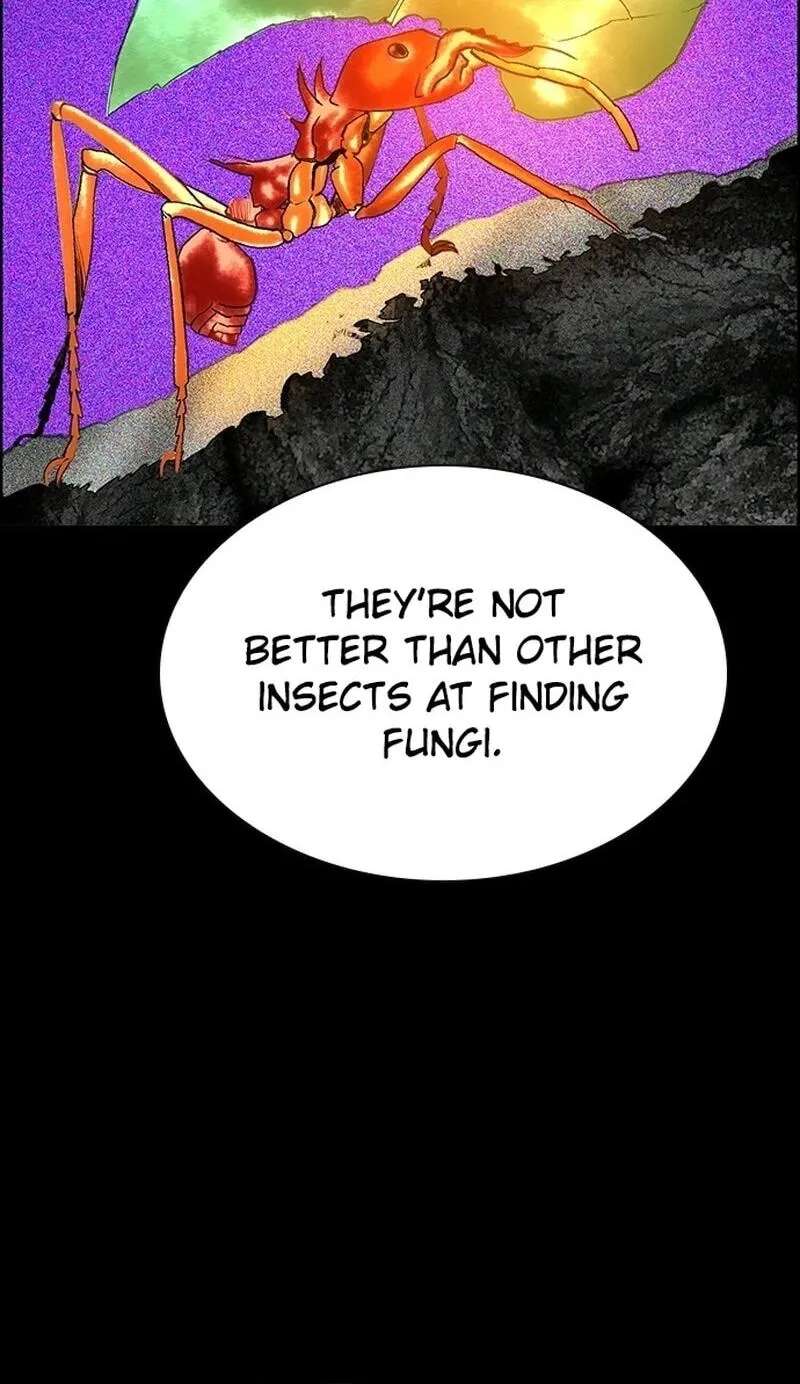 Jungle Juice Chapter 221 - page 46