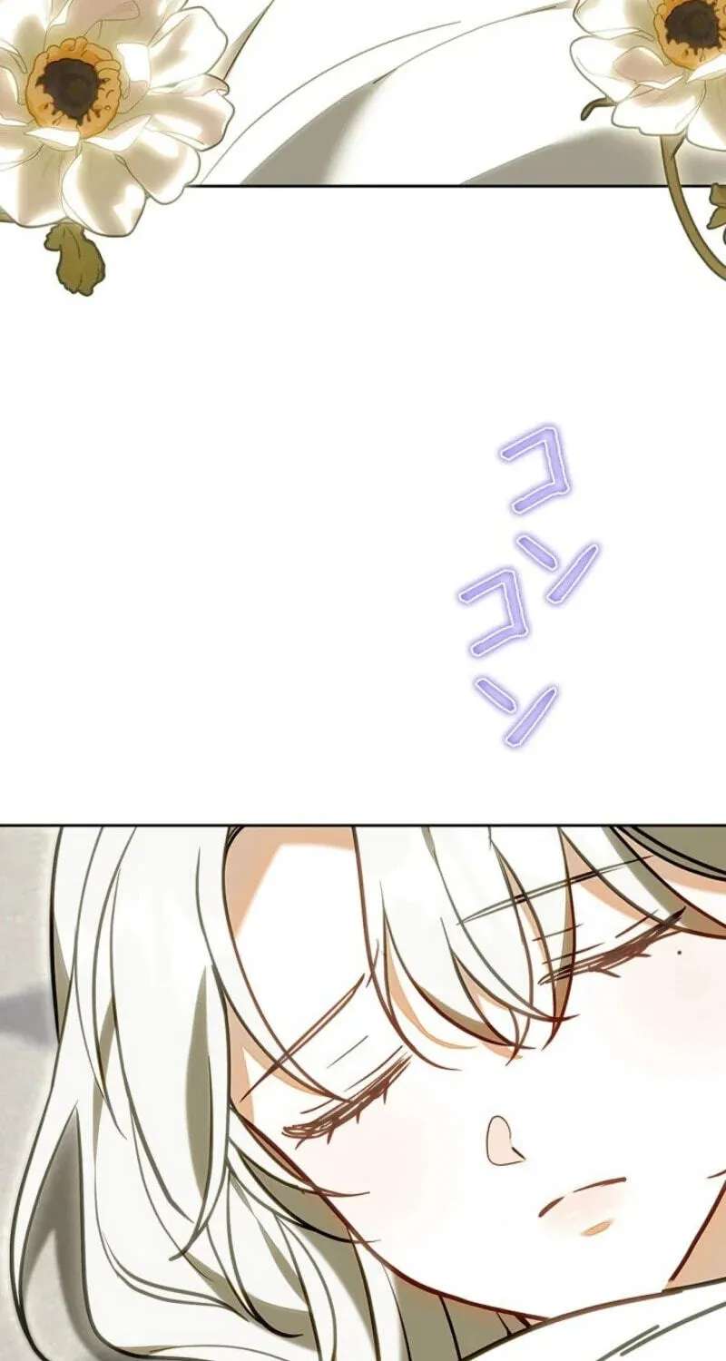 I Was Supposed to Be a Stalker Lady, but Somehow I’m Being Adored Instead Chapter 50 - page 77