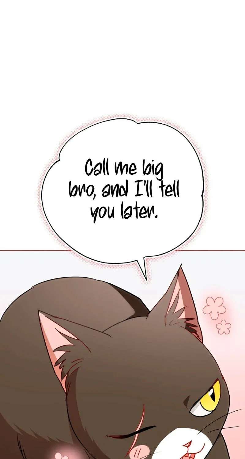 Hello, Mr. Veterinarian! Chapter 146 - page 68