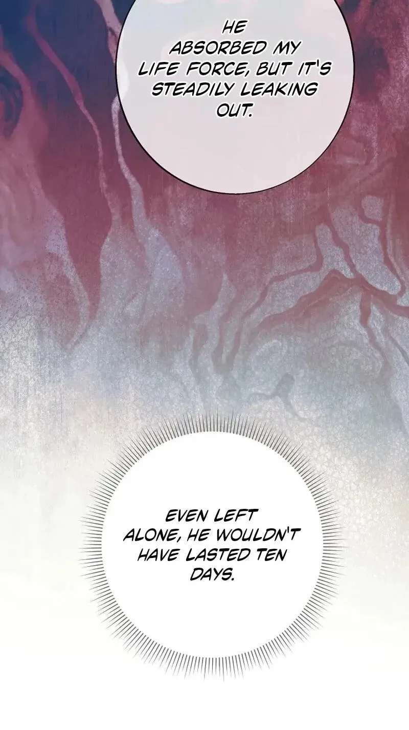 I Opened an Illegal Veterinary Clinic in Another World Chapter 51 - page 8