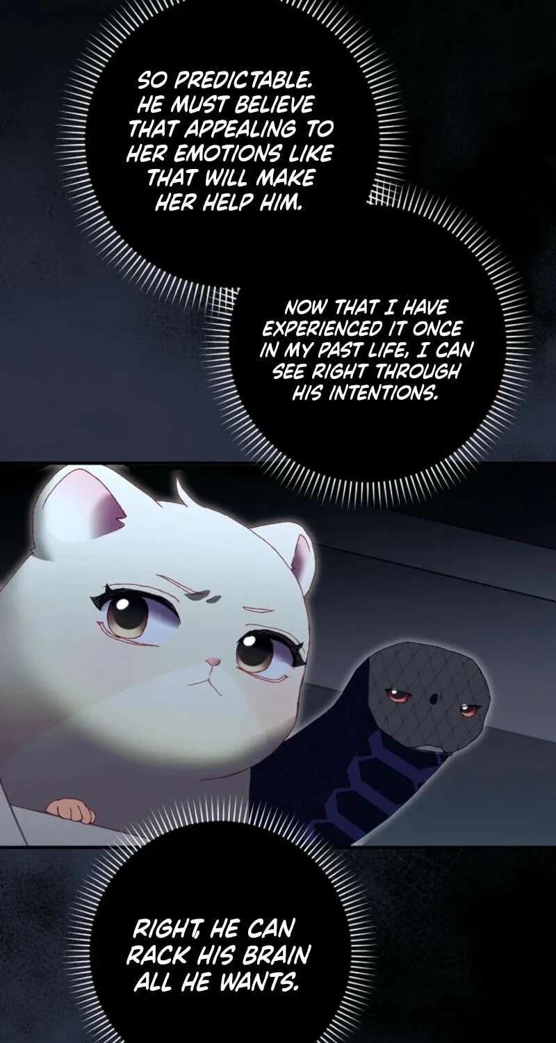 Cinderella's Pocket-Sized Protector Chapter 58 - page 13