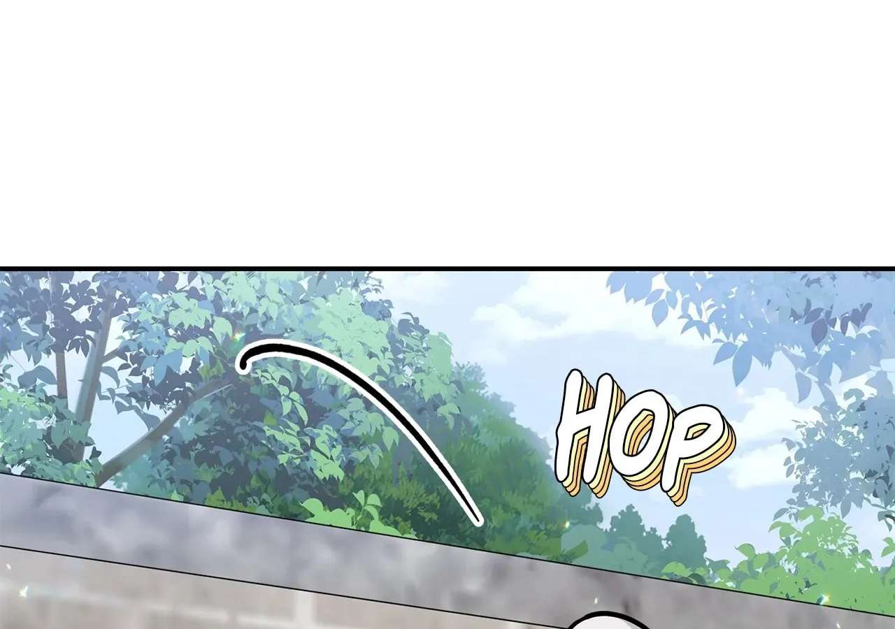 A Cat, Adopted by a Wolf Family? Chapter 103 - page 11