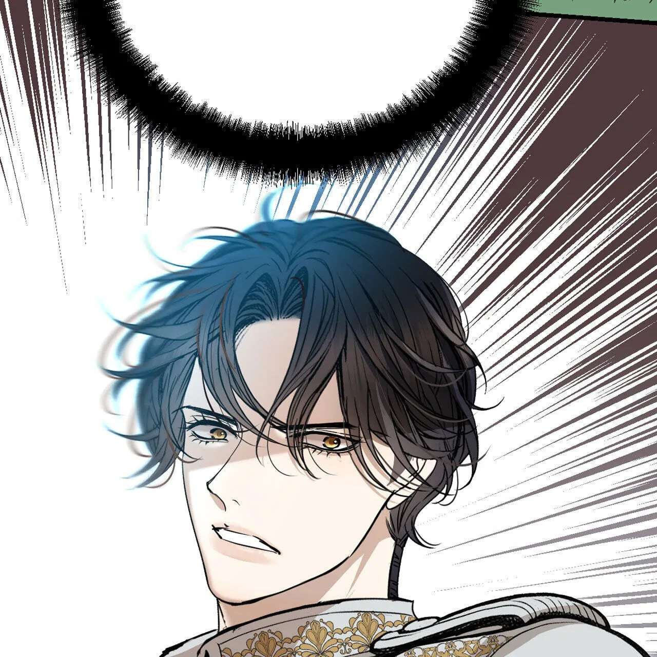 Dynastic Marriage: The Fallen and the Crowned Chapter 68 - page 13