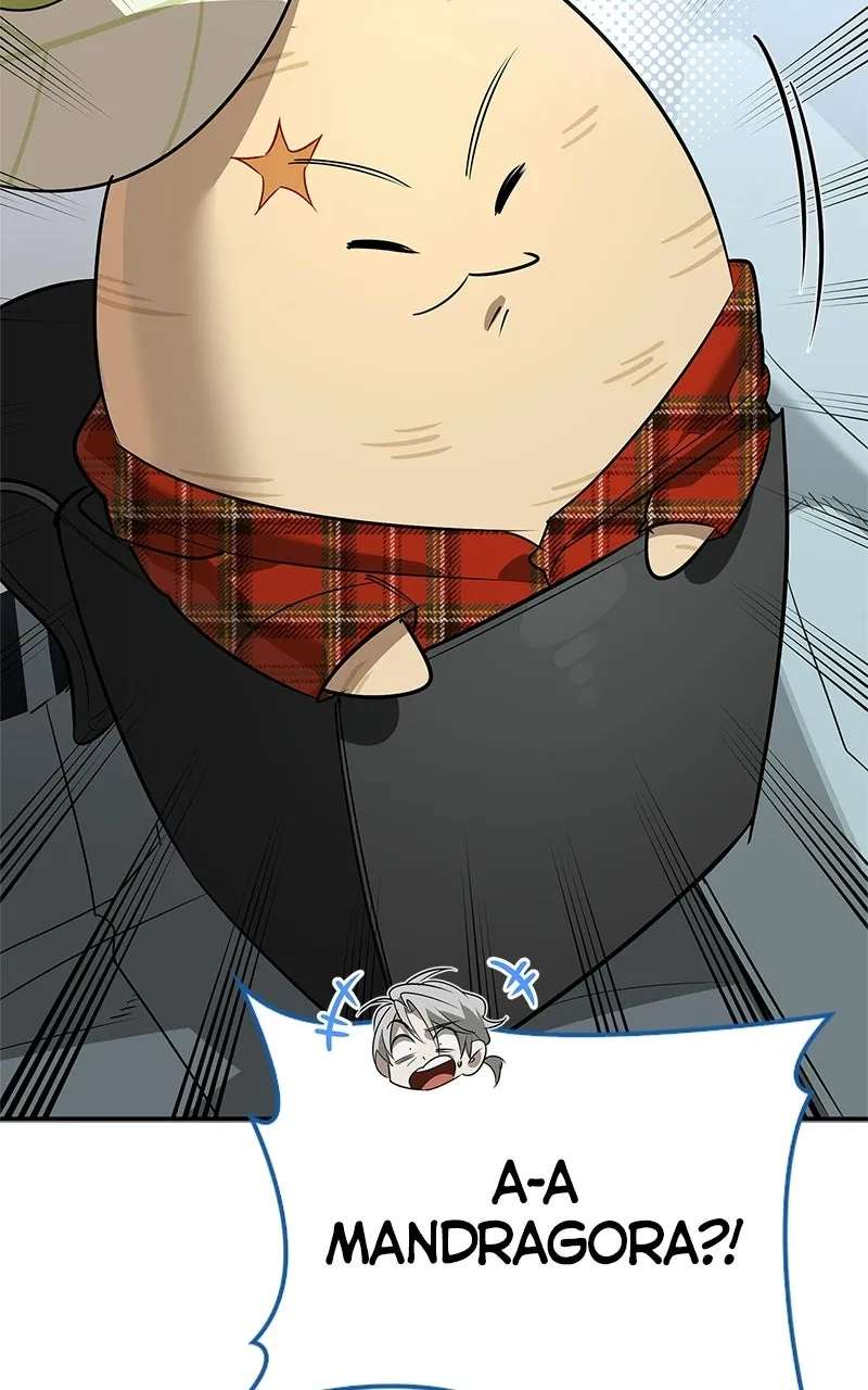 The S-Class Hunter’sPeaceful Life with Monsters Chapter 48 - page 138