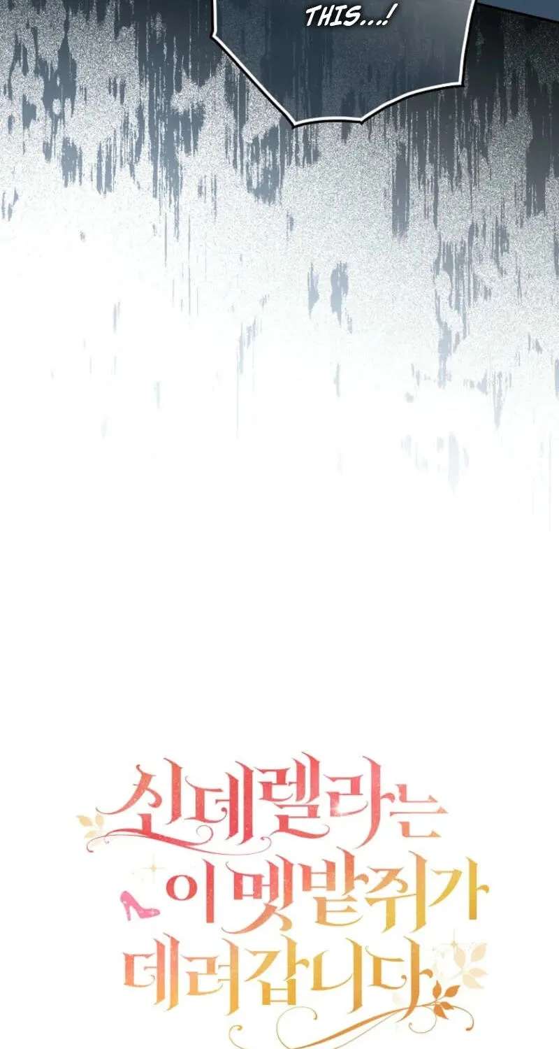 Cinderella's Pocket-Sized Protector Chapter 56 - page 32