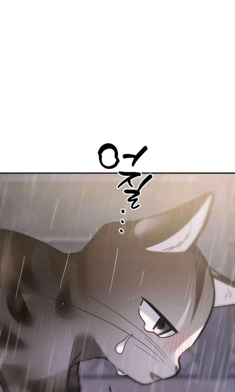 Give Birth to a Baby Wildcat for Me, Unless You Want to See Me Go Insane! Chapter 38 - page 92
