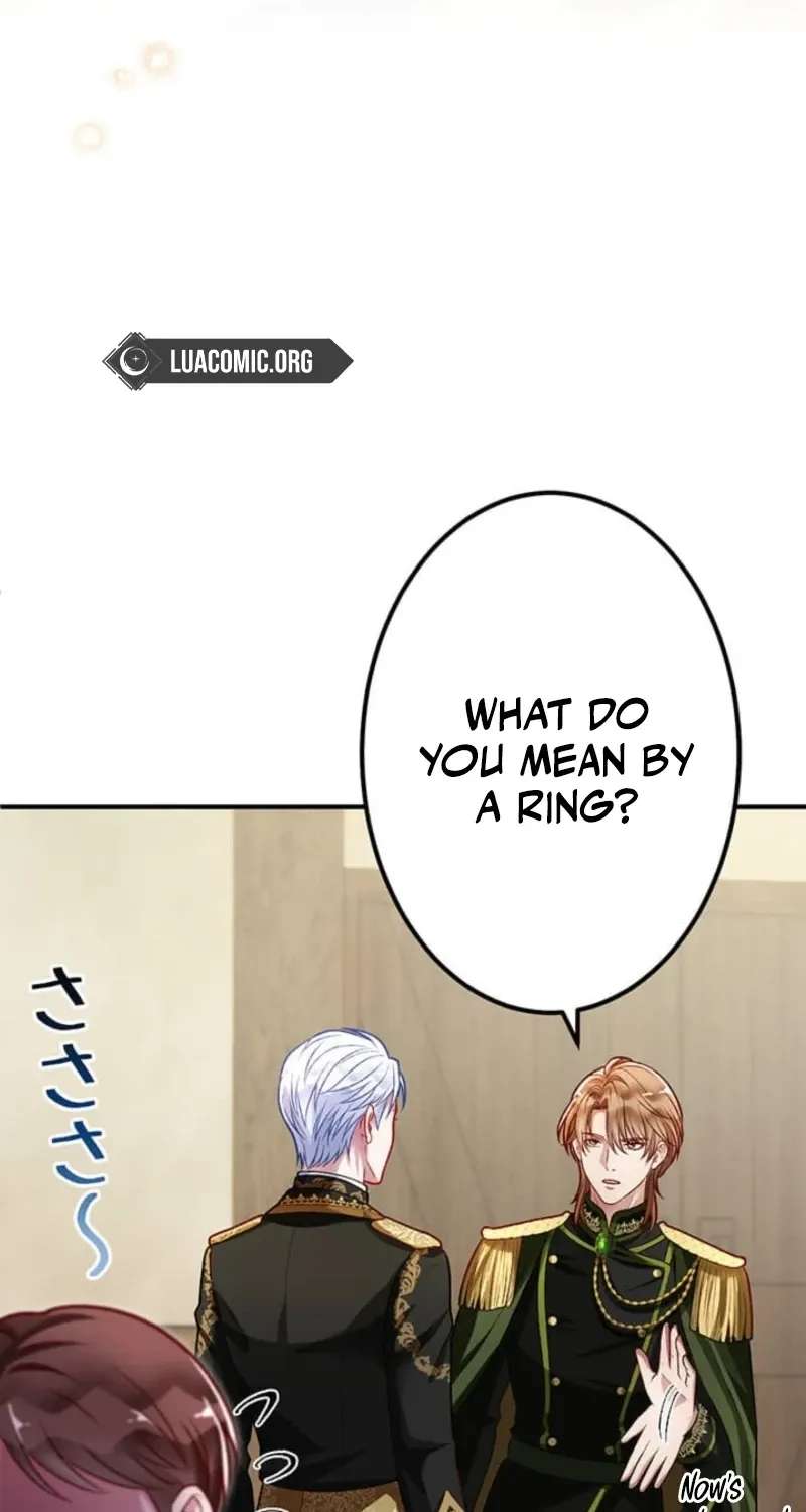 Oumei no Imi Wakattemasu? Chapter 26 - page 45