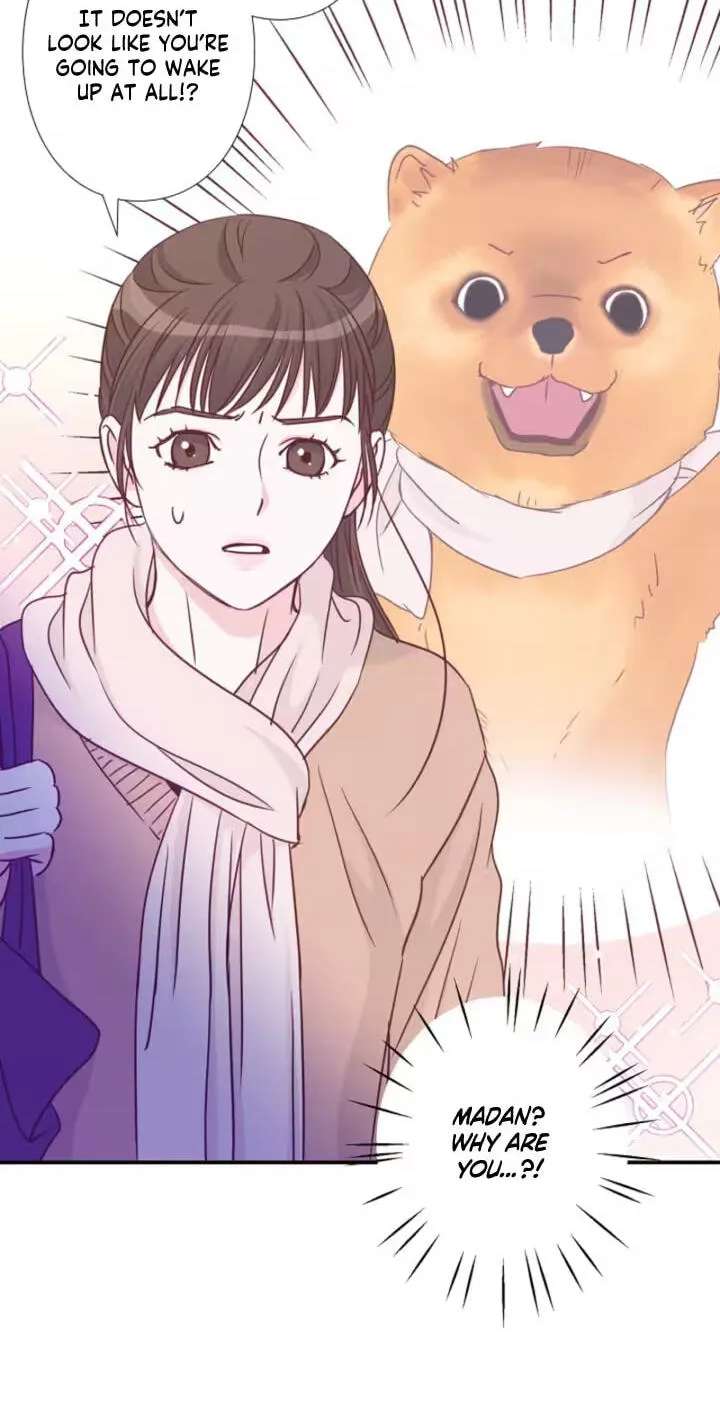 She Is the Best Chapter 35 - page 57