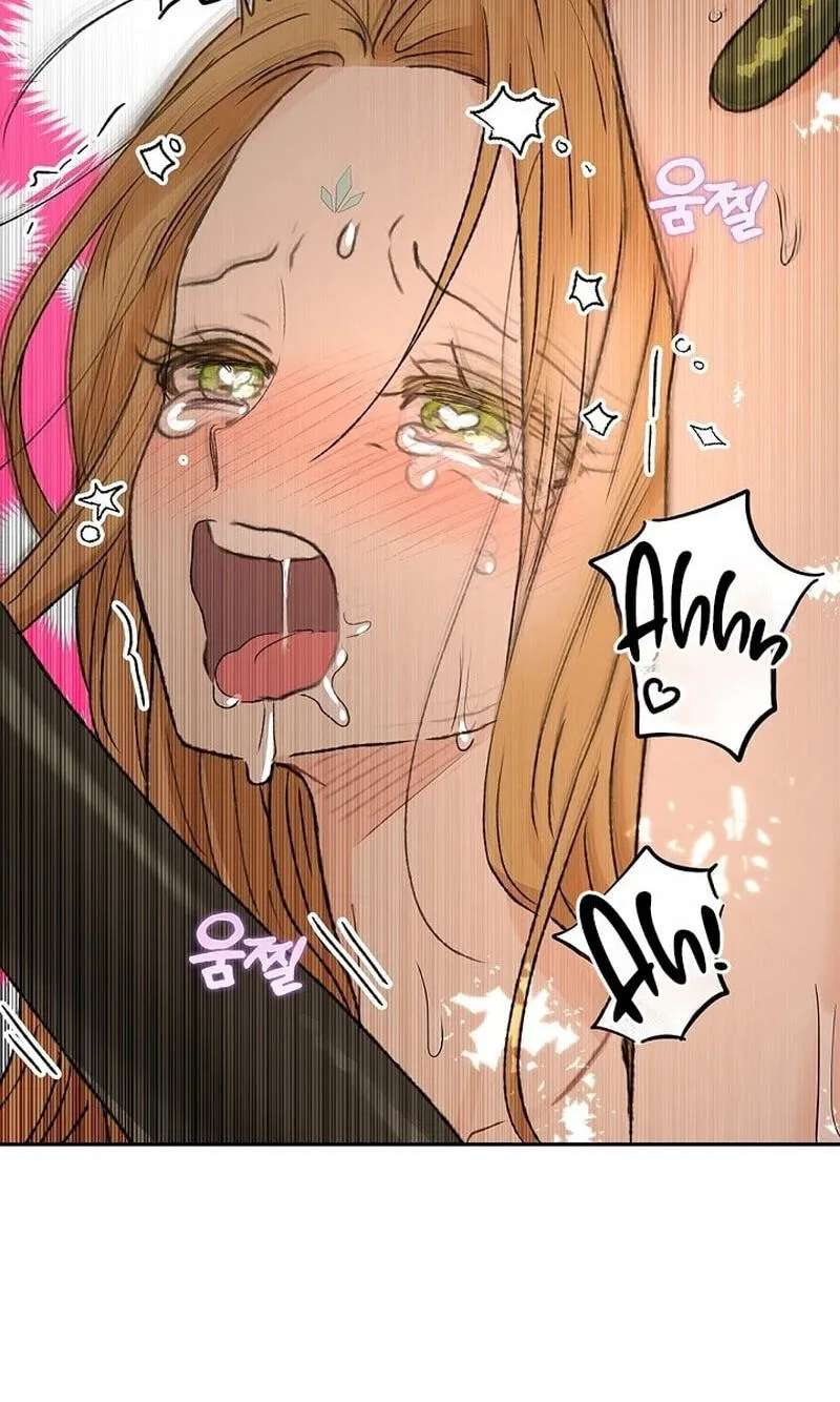 The Mating of Elves Chapter 69 - page 62