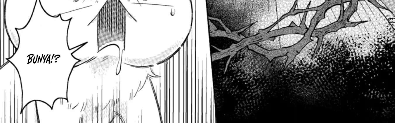 Nekura Kishi ni Yoru Dekiai Mankitsu-chuu nu Busa Neko, Jitsu wa Seijo desu! Chapter 3 - page 32