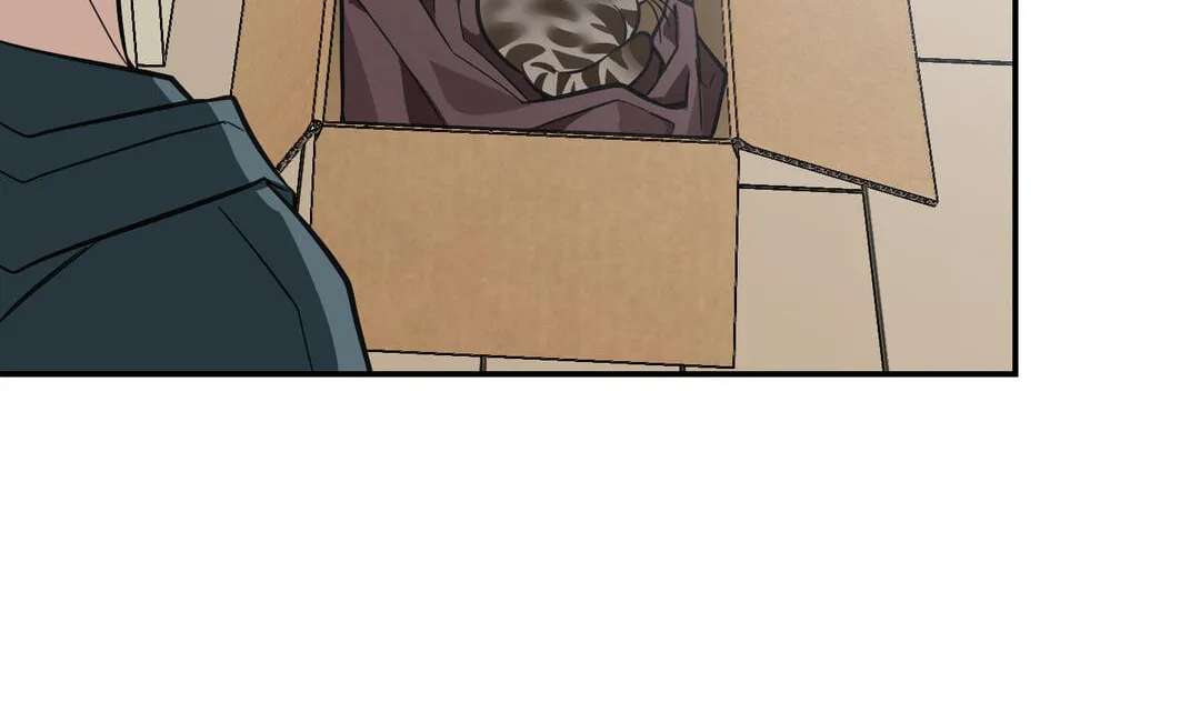 Give Birth to a Baby Wildcat for Me, Unless You Want to See Me Go Insane! Chapter 39 - page 71
