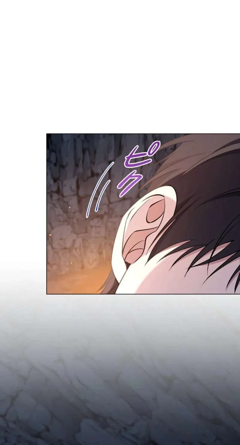 The Enemy King’s Substitute Bride Chapter 47 - page 73