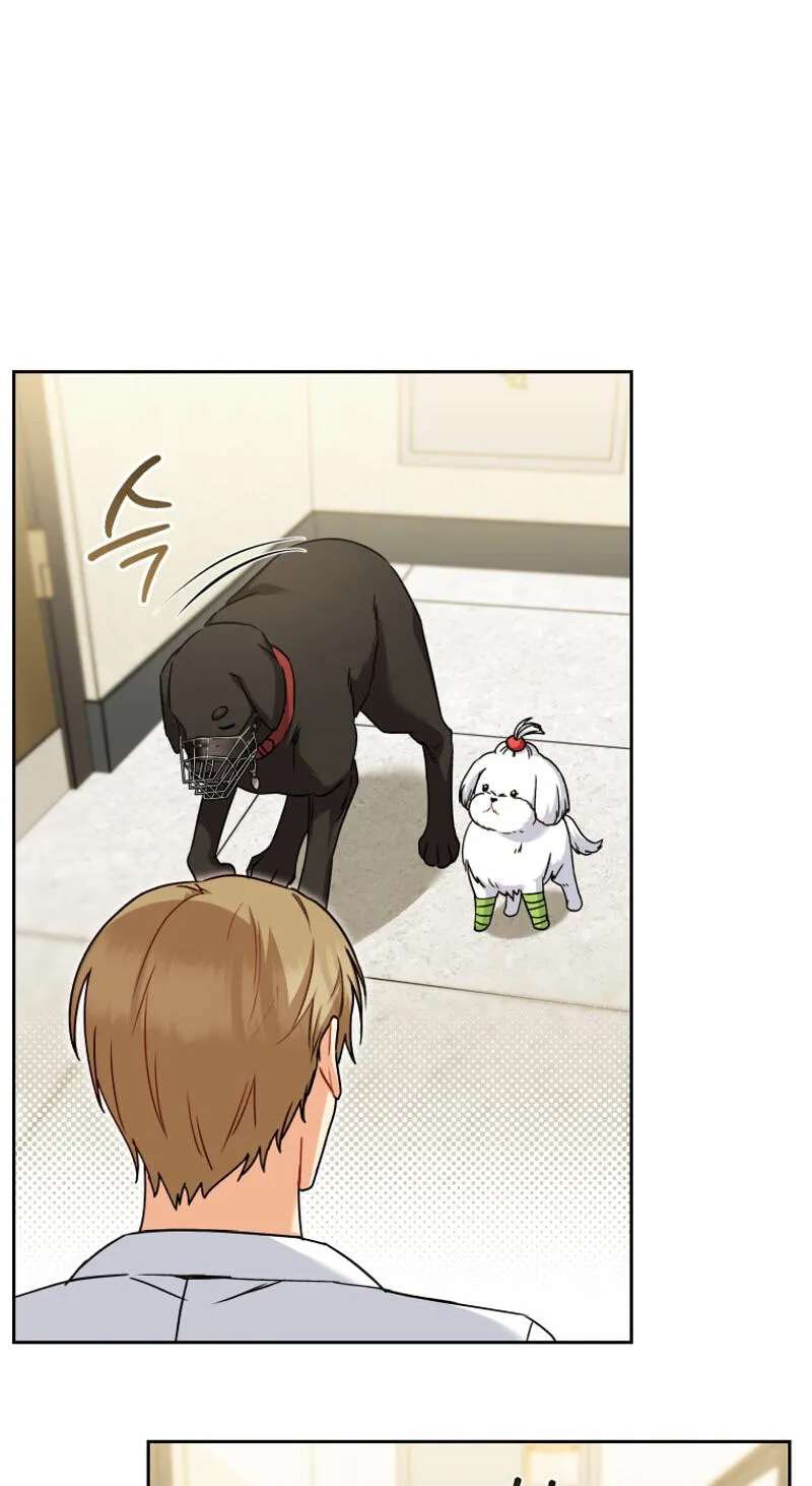 Hello, Mr. Veterinarian! Chapter 145 - page 11