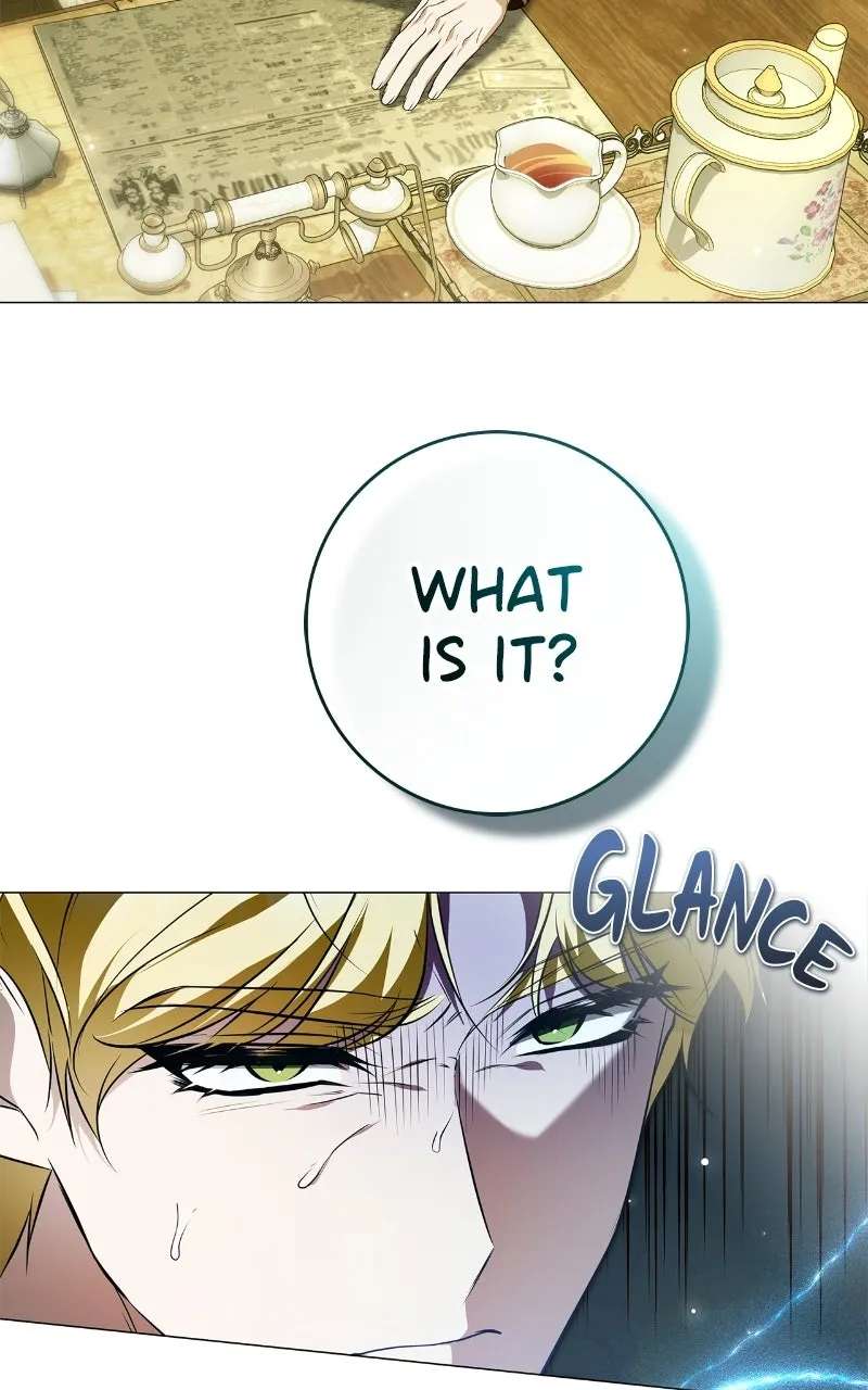 His Majesty is Vexedby His Handmaiden Chapter 17 - page 91