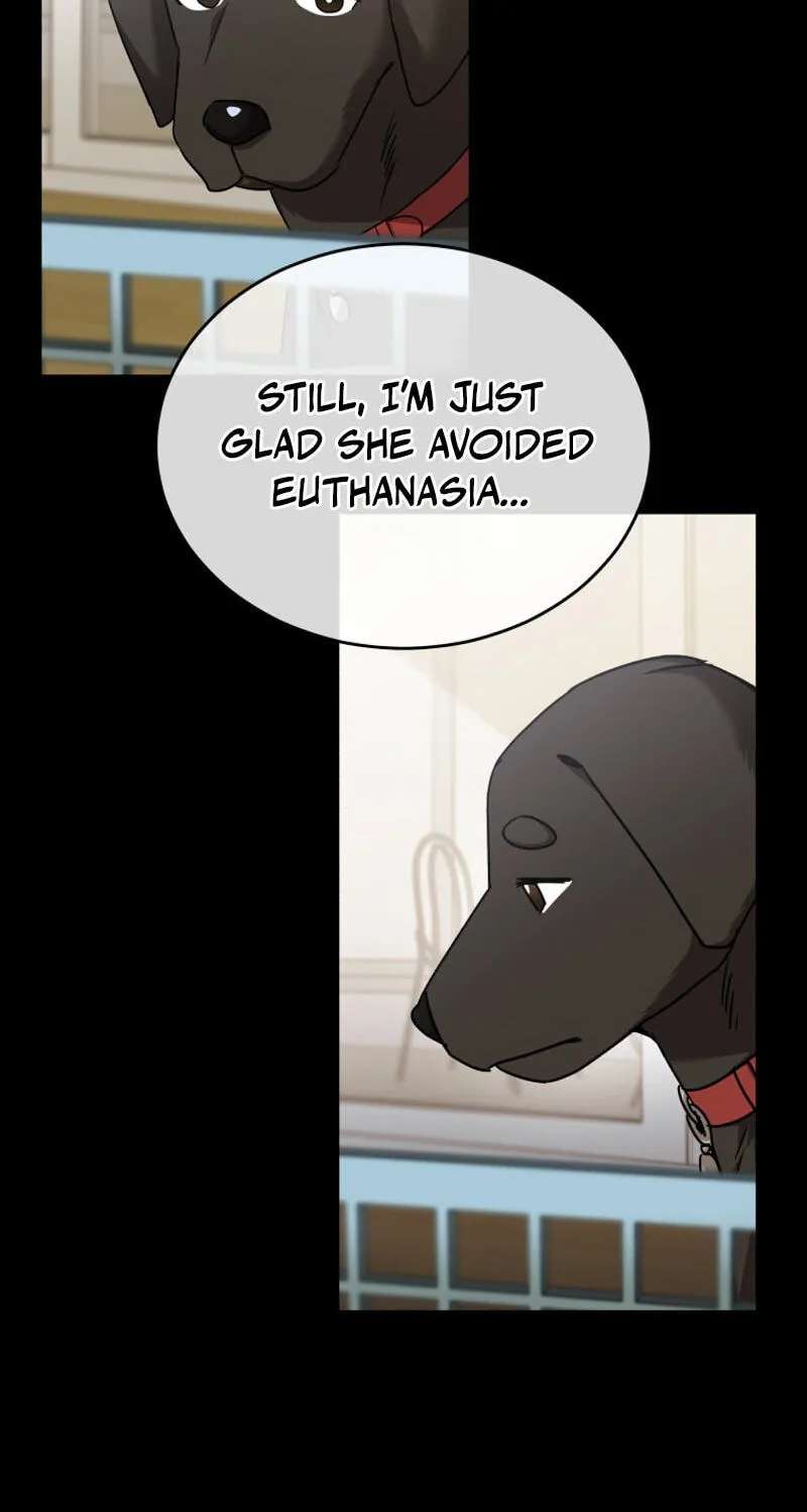 Hello, Mr. Veterinarian! Chapter 145 - page 33