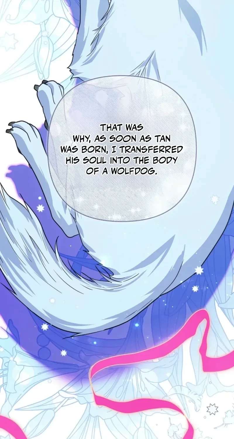 En Travesti: I Became a Fake Prince Chapter 29 - page 28