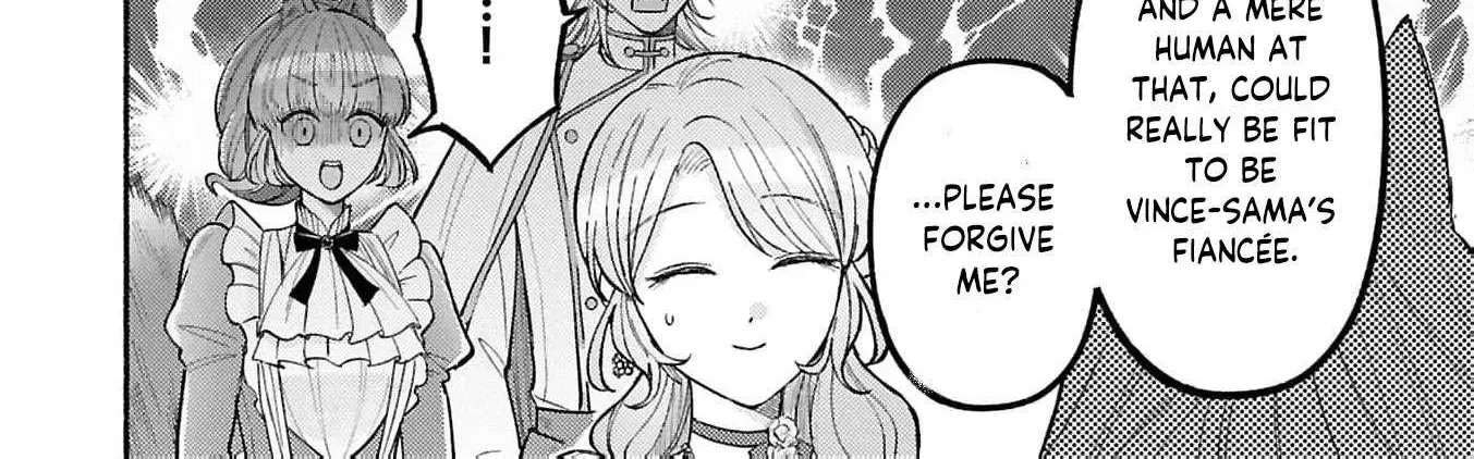 I’m Just the Saint’s Maid Cleaning Up Her Mess. So Why Am I Suddenly Being Courted by the Black Wolf King of the Beastkin Nation!? Chapter 28 - page 6