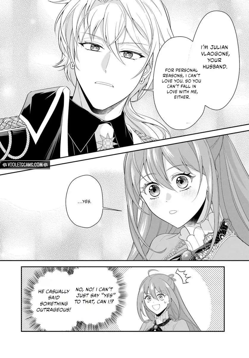 Watashitachi Rikon Shimasunode Ikenie Reijou to Reikoku Hunjin no Kanpekinaru Rikon Keikaku Chapter 1 - page 25